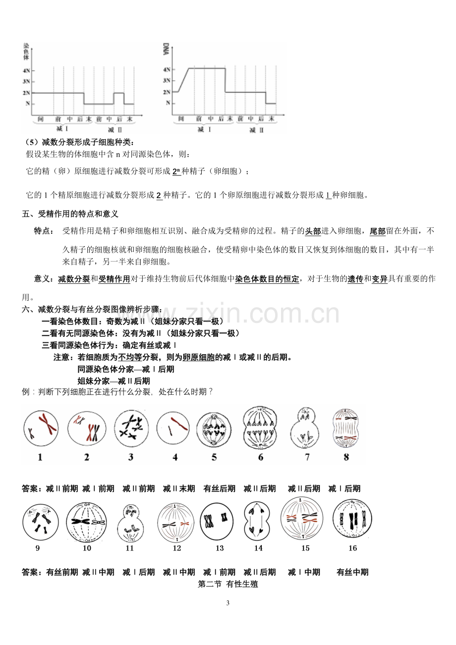 生物必修2复习提纲(必修).doc_第3页