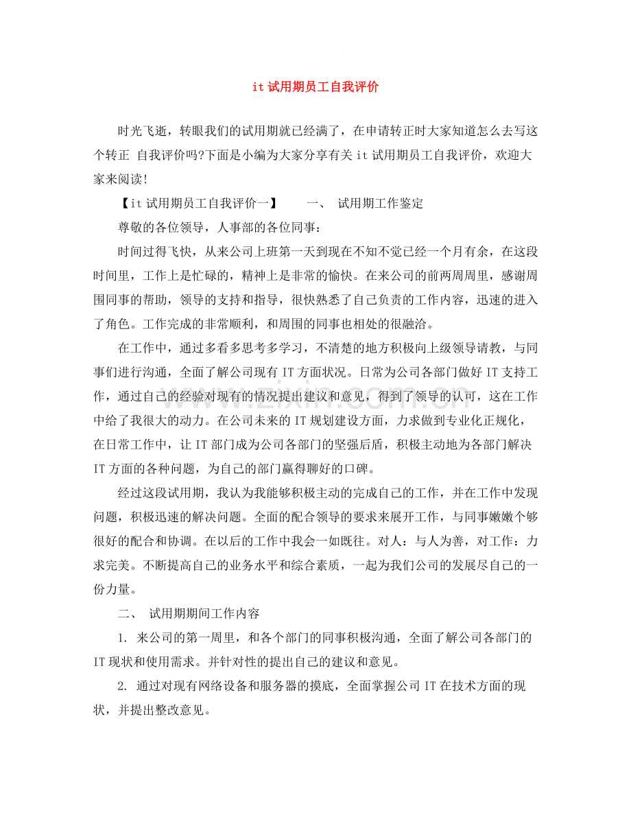 it试用期员工自我评价.docx_第1页