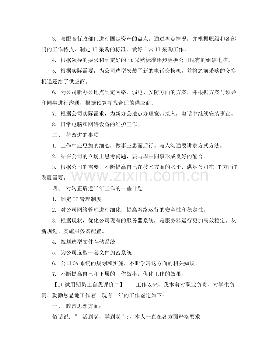 it试用期员工自我评价.docx_第2页