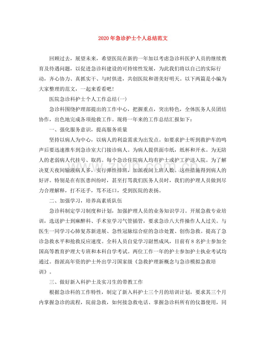 2020年急诊护士个人总结范文.docx_第1页