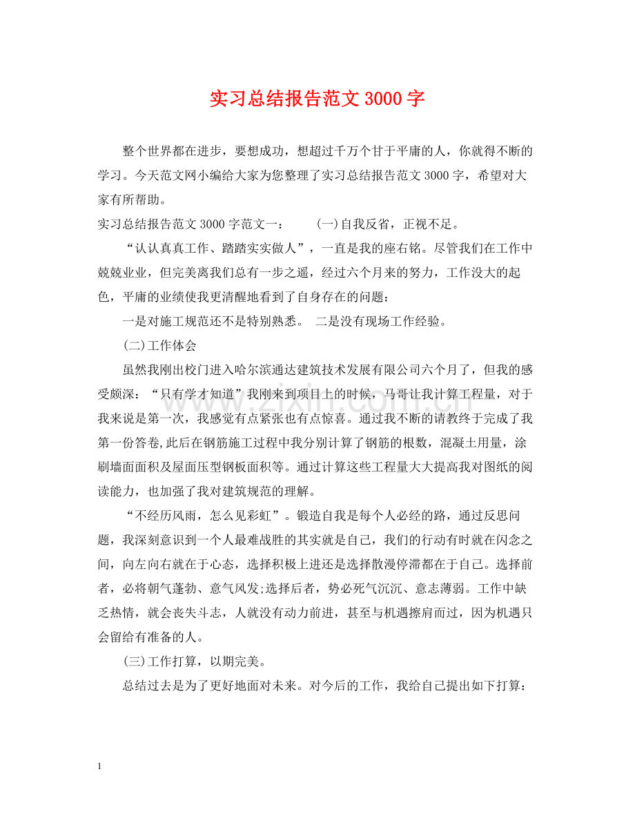 实习总结报告范文3000字.docx_第1页