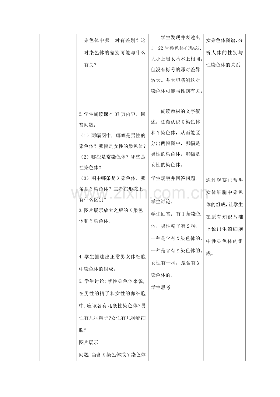 春八年级生物下册 7.2.4 人的性别遗传教案 （新版）新人教版-（新版）新人教版初中八年级下册生物教案.doc_第3页