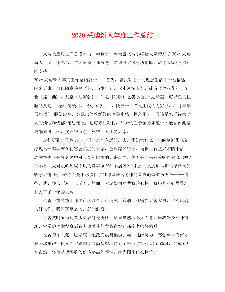 采购新人年度工作总结 .docx_第1页