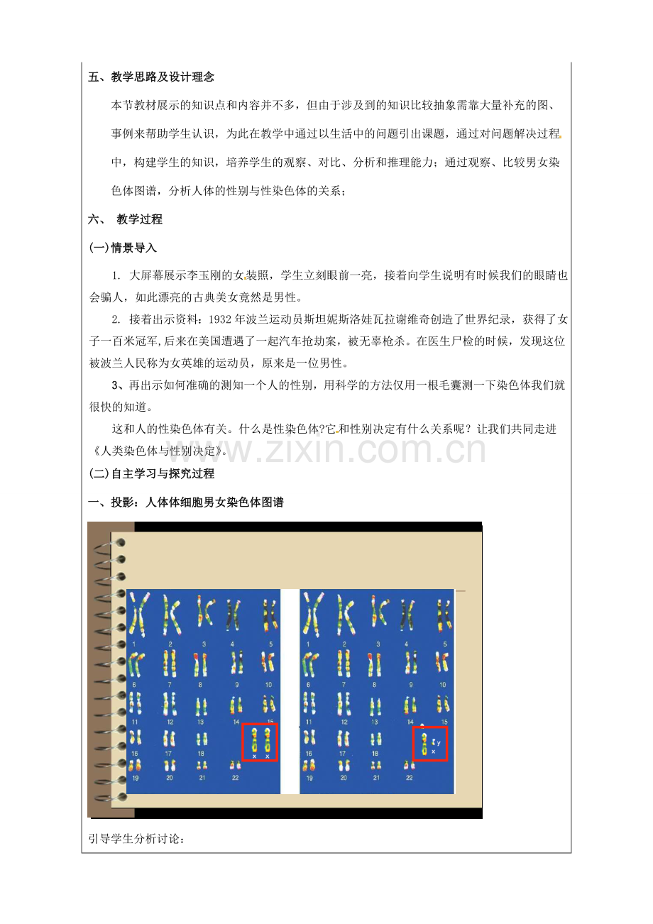 八年级生物上册 第四单元 第四章 第三节 人类染色体与性别决定教案 （新版）济南版-（新版）济南版初中八年级上册生物教案.doc_第2页