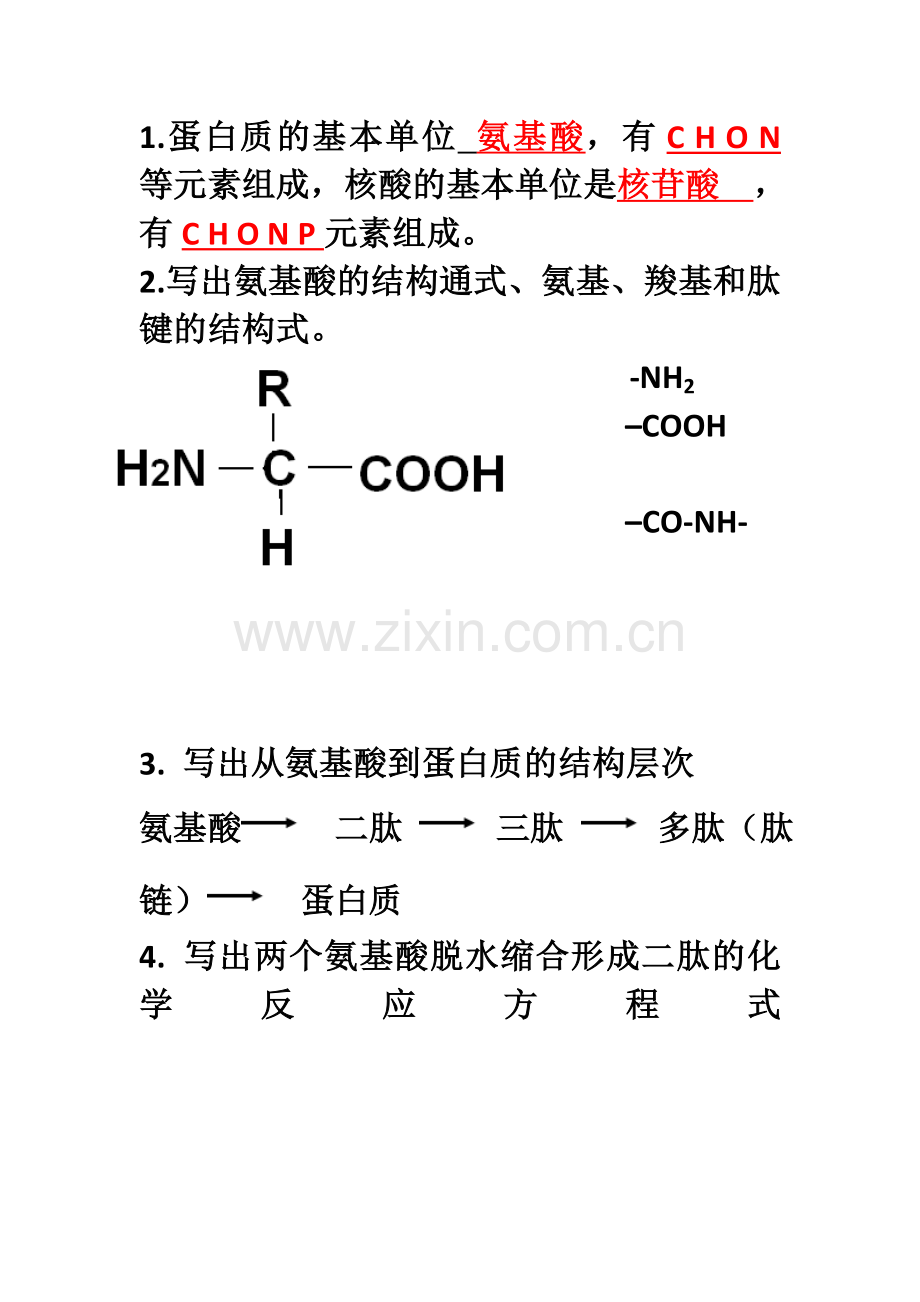 蛋白质及核酸默写及答案.doc_第1页