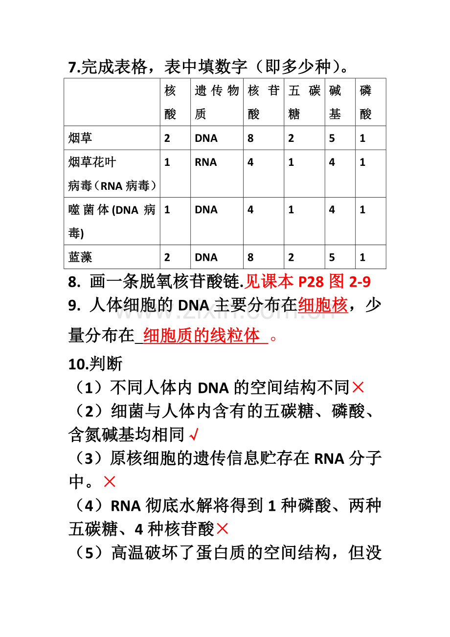 蛋白质及核酸默写及答案.doc_第3页