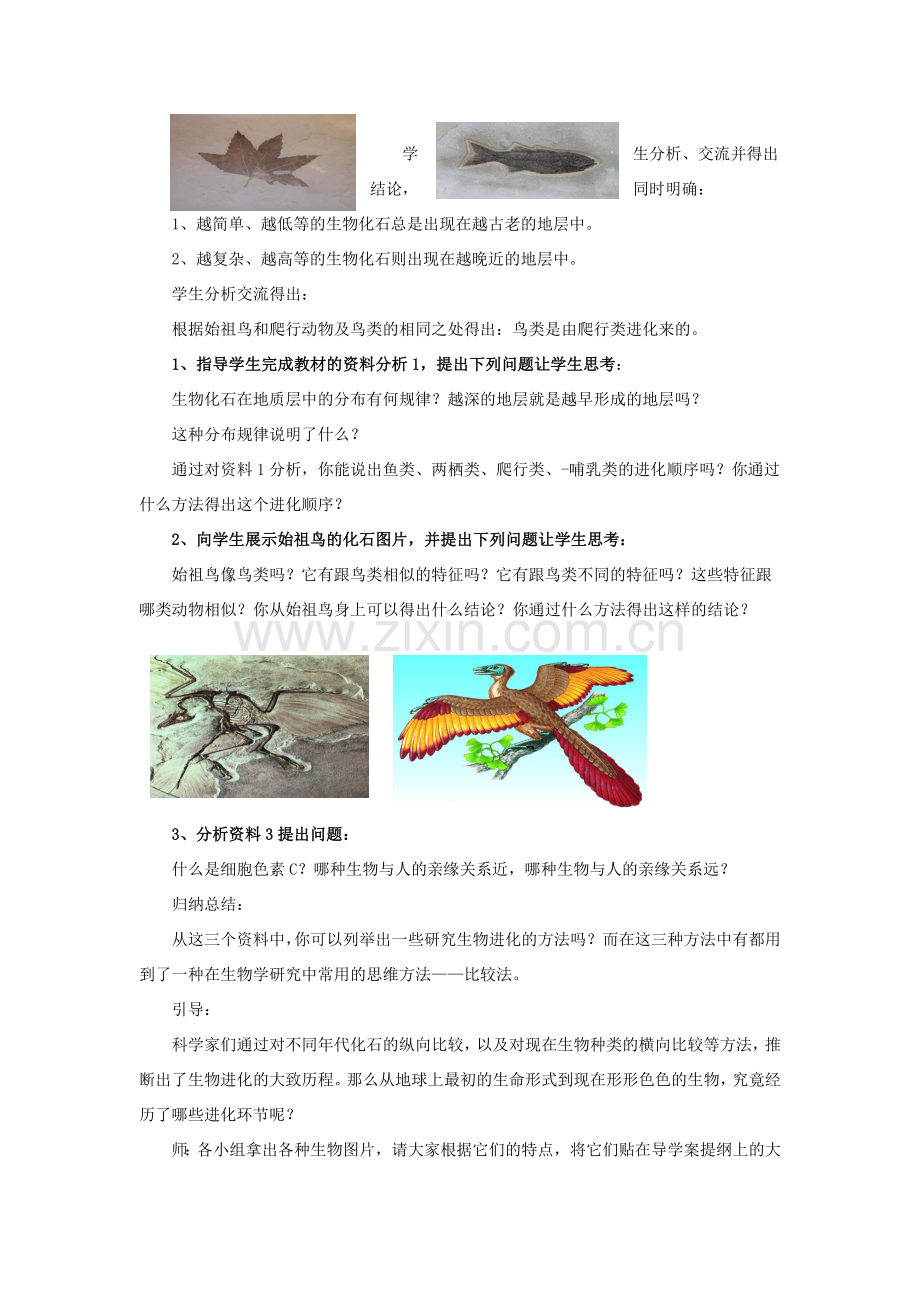 八年级生物下册 第21章 第二节 生物的进化教案1 （新版）北师大版.doc_第2页