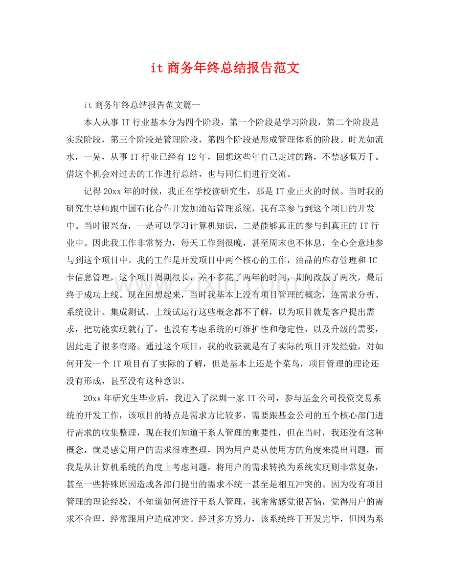 it商务年终总结报告范文 .docx_第1页