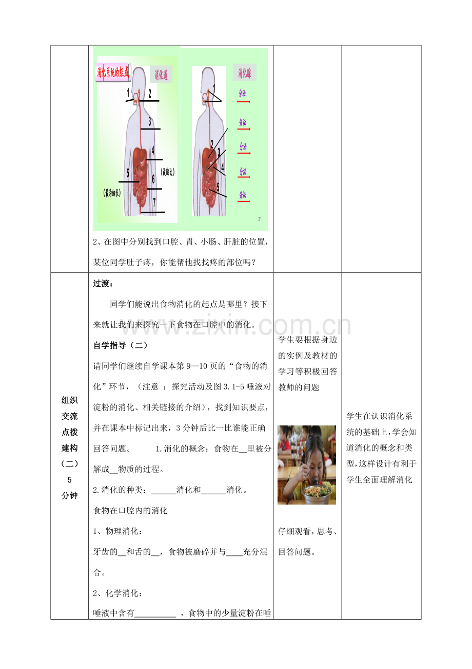 -七年级生物下册 3.1.2 消化和吸收（第1课时）优秀教案 （新版）济南版-（新版）济南版初中七年级下册生物教案.doc_第3页