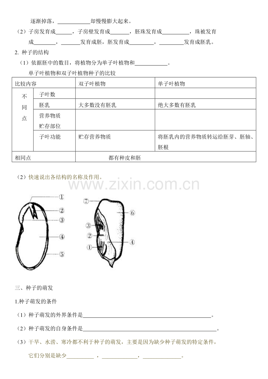 八年级生物上册 绿色开花植物的一生教案 济南版.doc_第2页