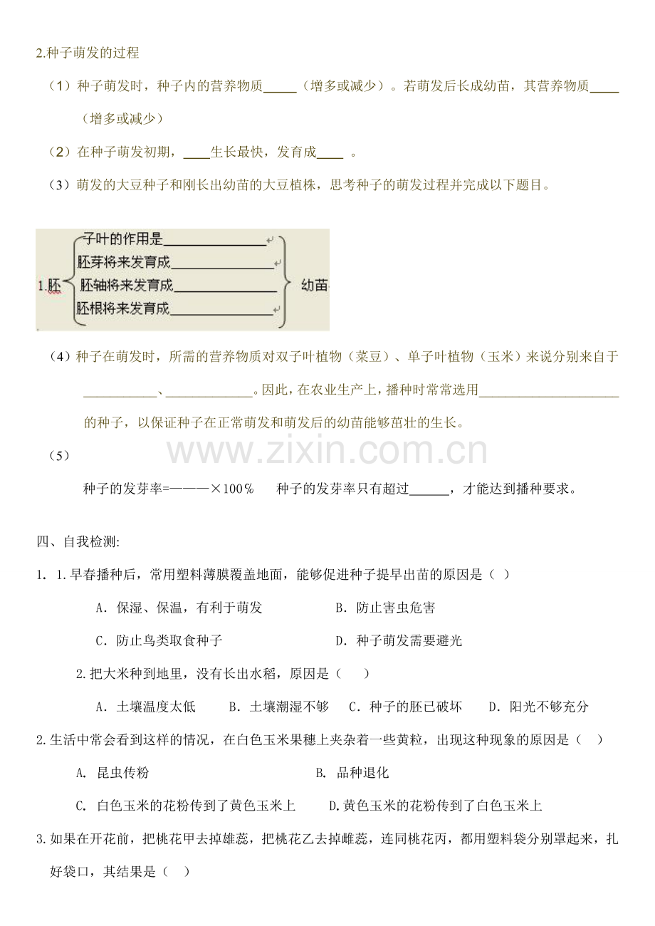 八年级生物上册 绿色开花植物的一生教案 济南版.doc_第3页