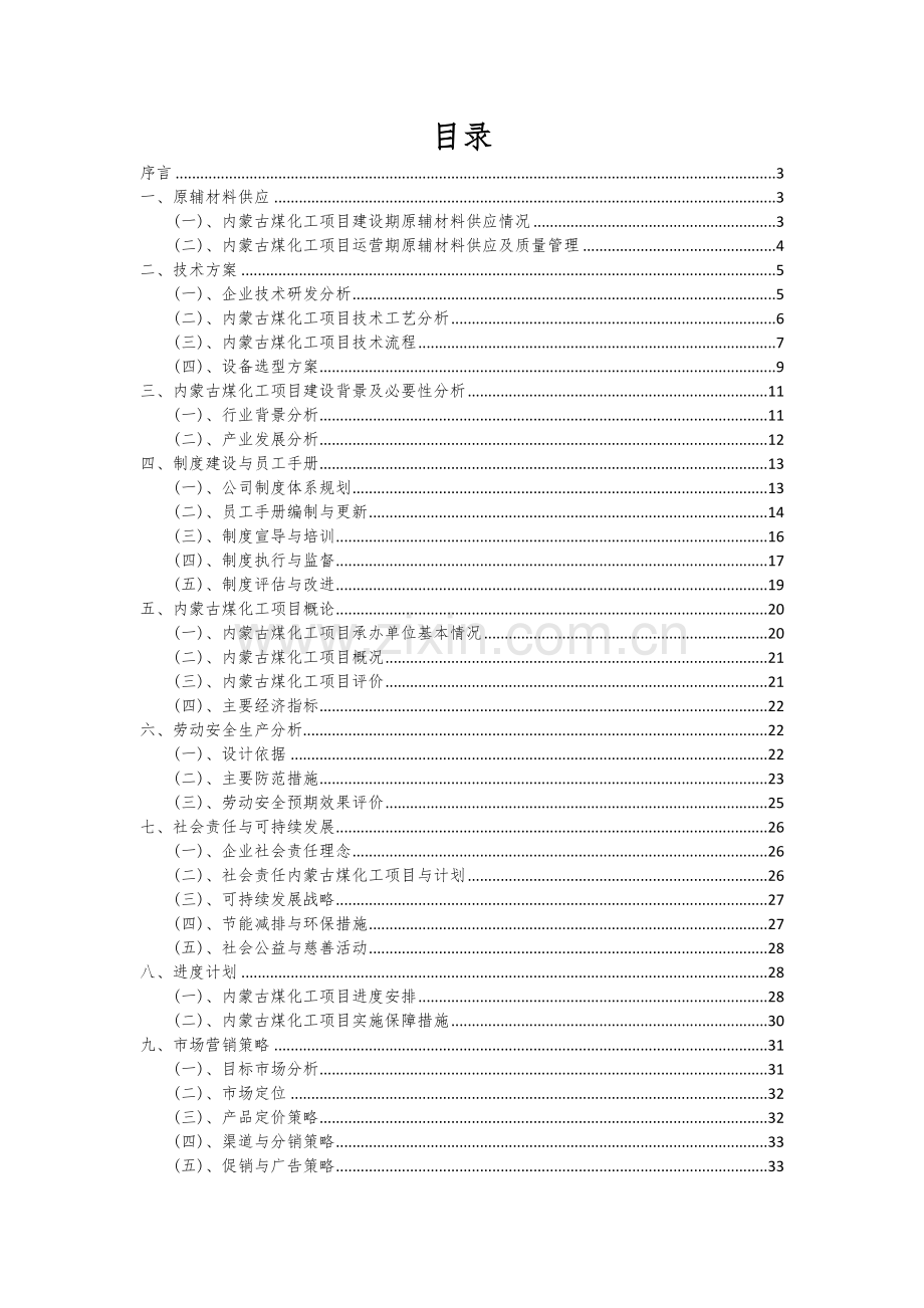 内蒙古煤化工项目可行性分析报告.docx_第2页