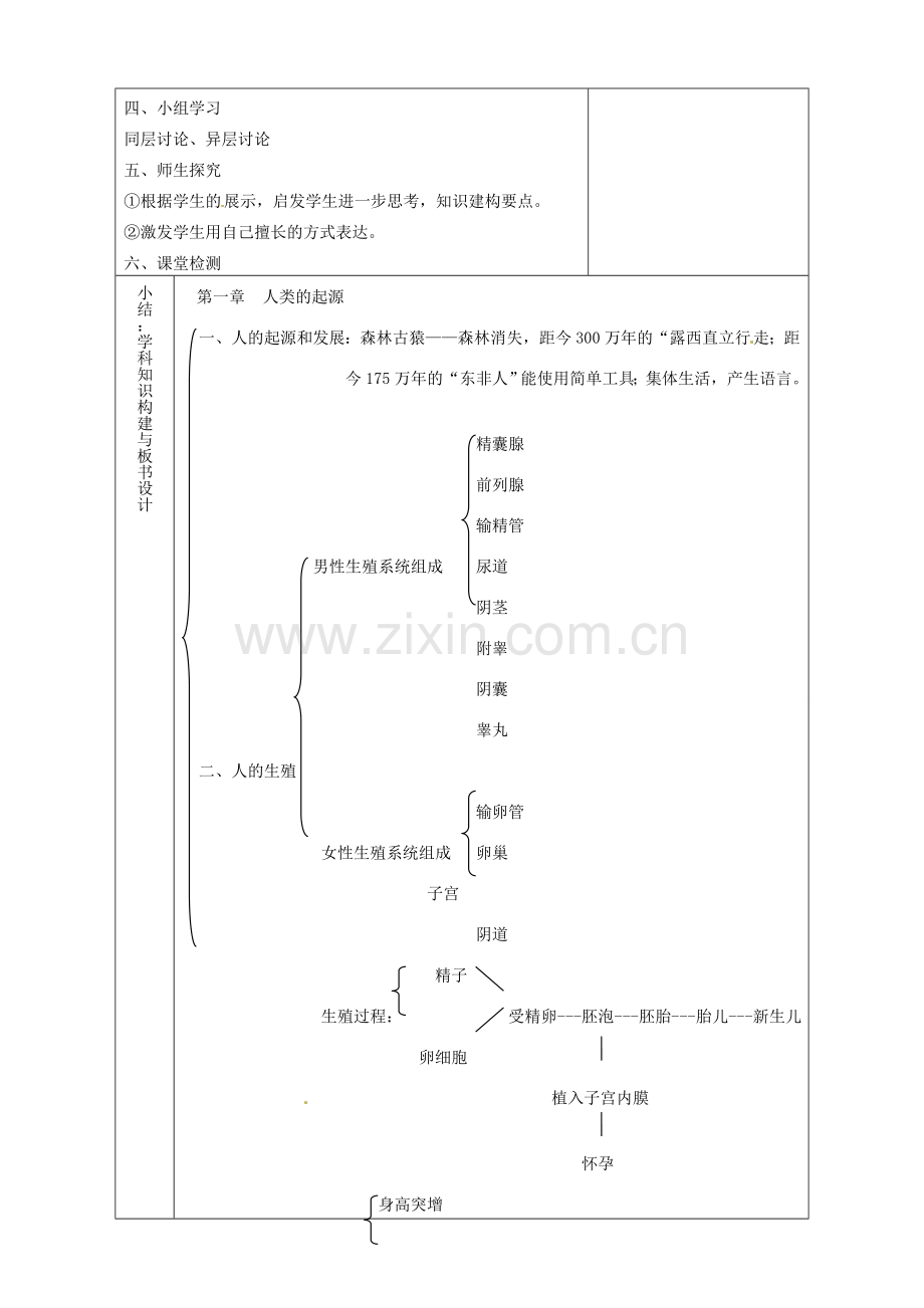 山东省淄博市临淄区第八中学七年级生物下册 第一章 人的由来复习教案 新人教版.doc_第2页