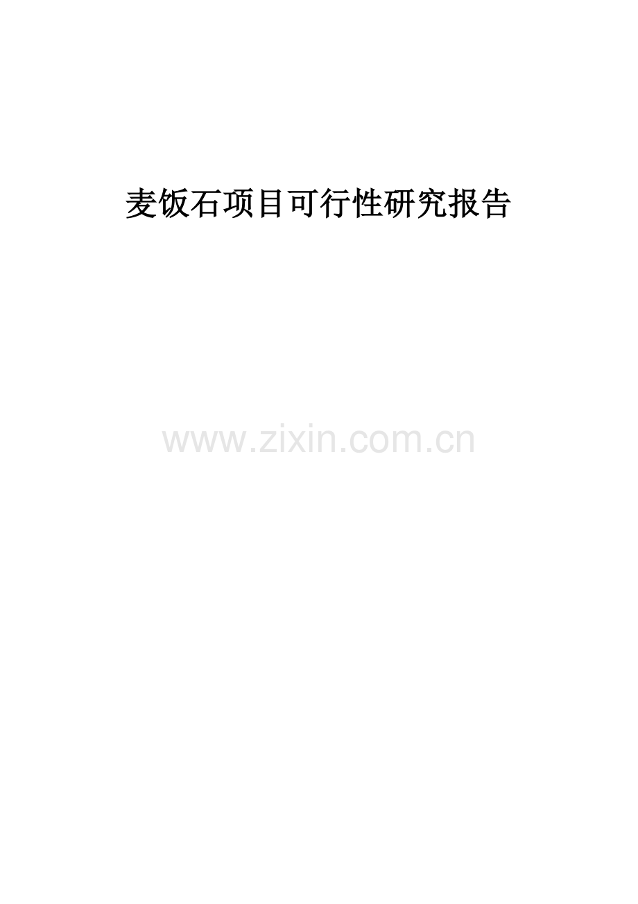 麦饭石项目可行性研究报告.docx_第1页