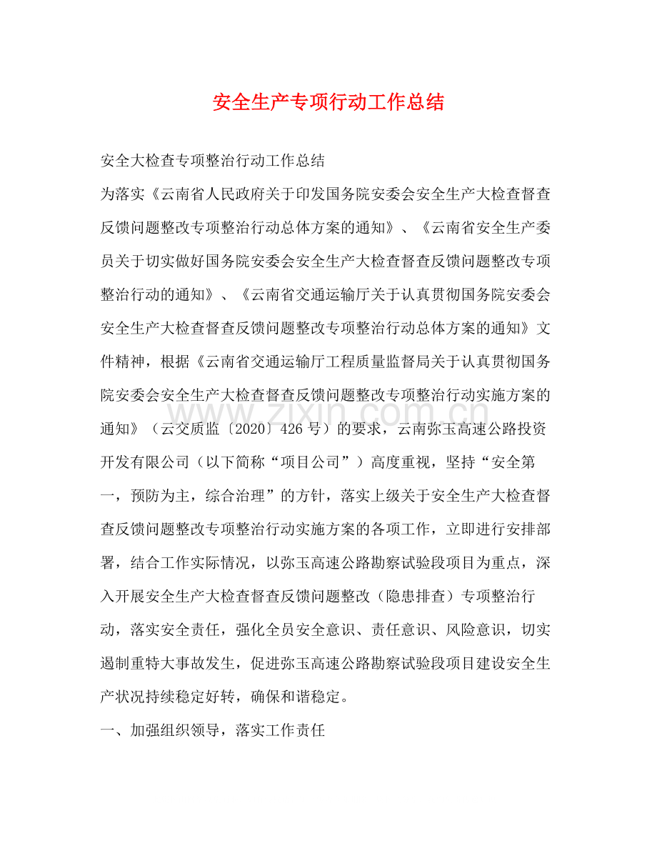 安全生产专项行动工作总结.docx_第1页