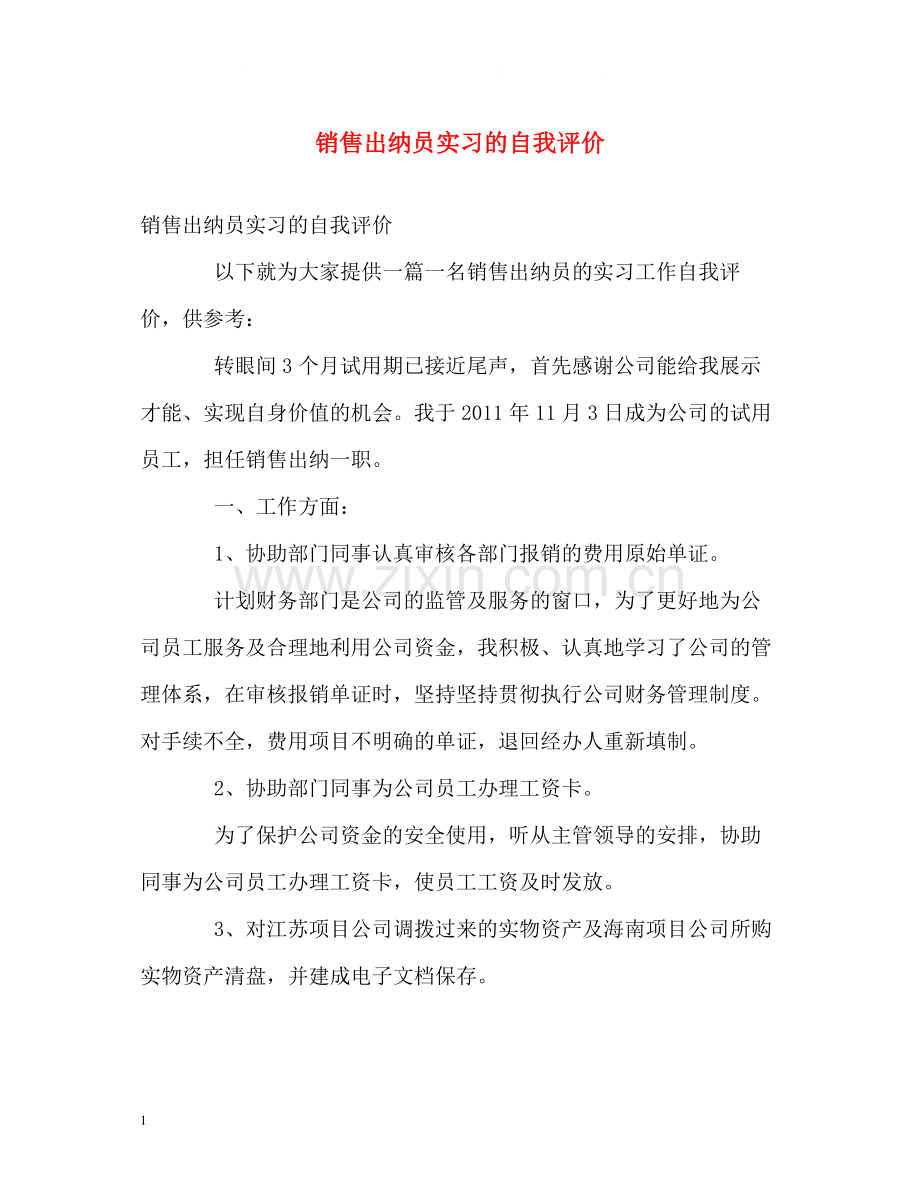 销售出纳员实习的自我评价.docx_第1页