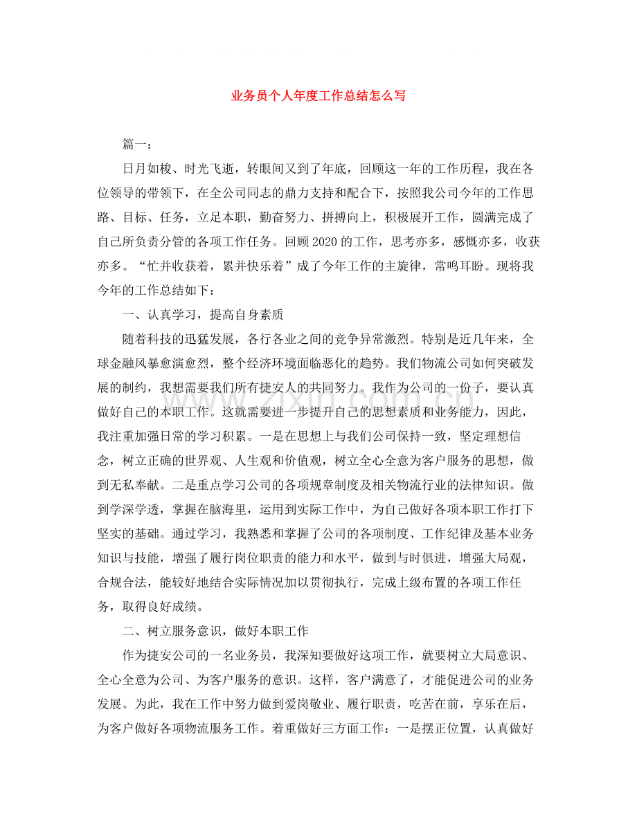 业务员个人年度工作总结怎么写.docx_第1页