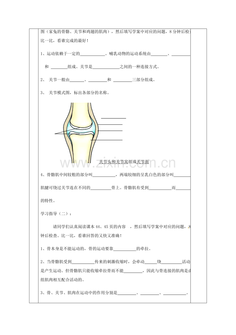 八年级生物上册 5.2.1 动物的运动教案 （新版）新人教版-（新版）新人教版初中八年级上册生物教案.doc_第2页