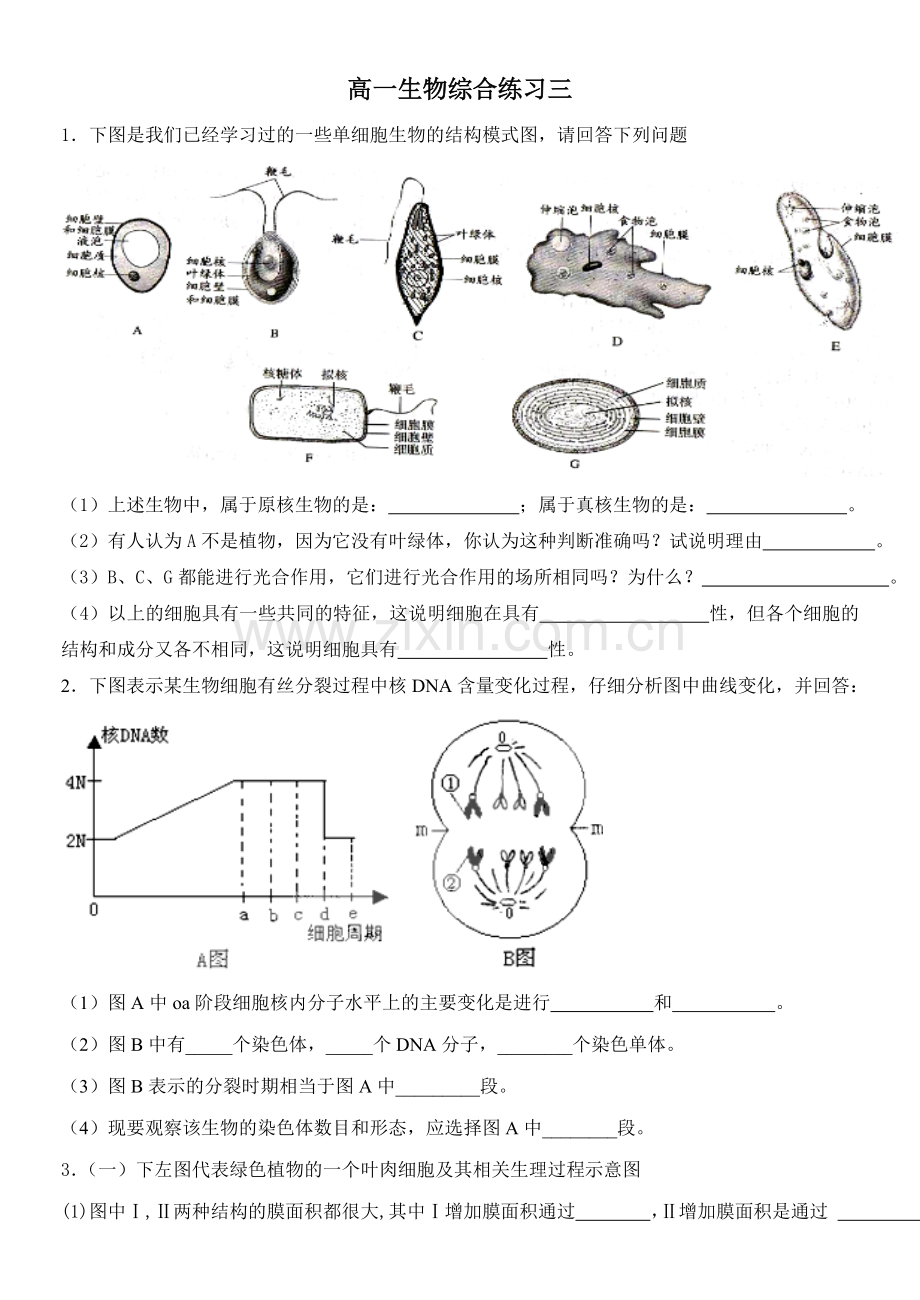 高一生物综合练习三.doc_第1页