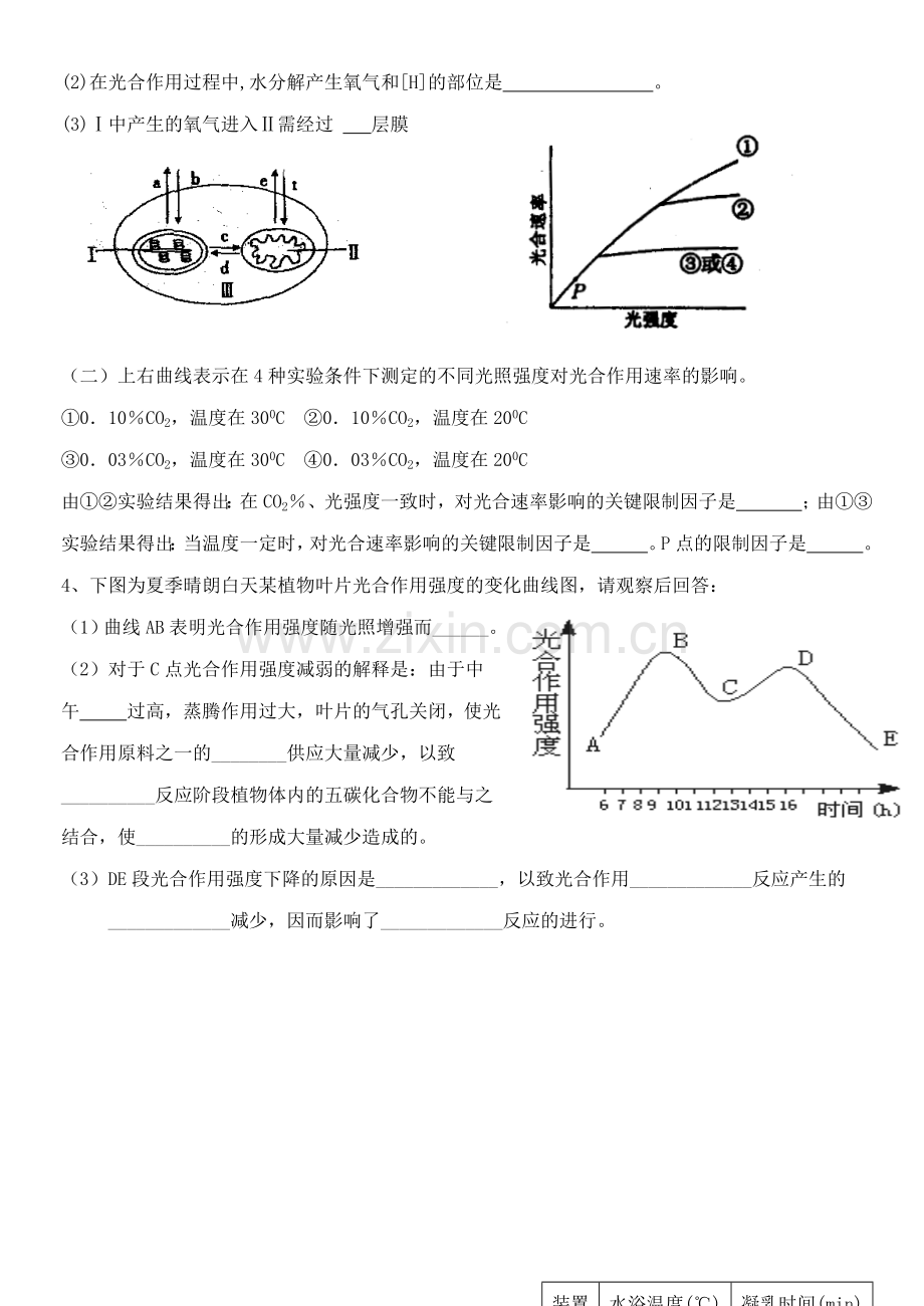 高一生物综合练习三.doc_第2页