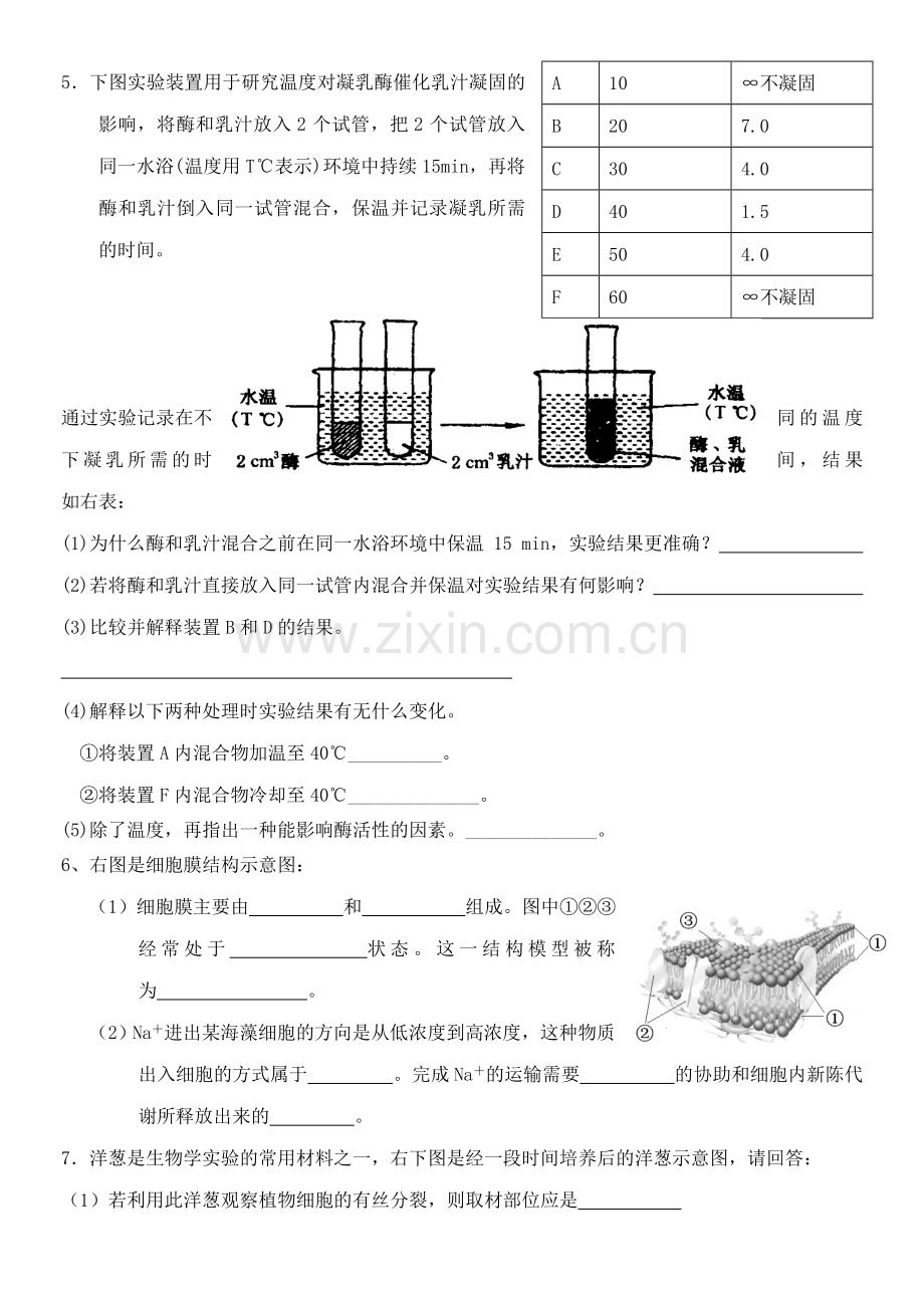 高一生物综合练习三.doc_第3页