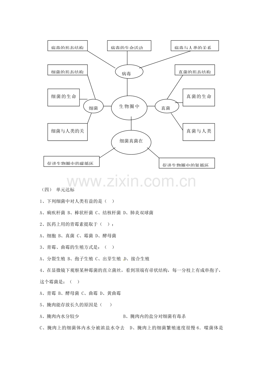 七年级生物上册 第二单元第三章生物圈中的微生物章复习教案 济南版.doc_第2页