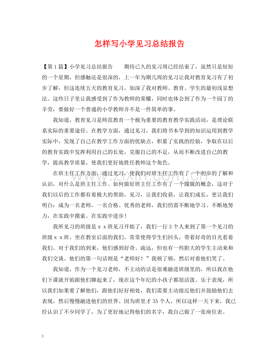 怎样写小学见习总结报告.docx_第1页