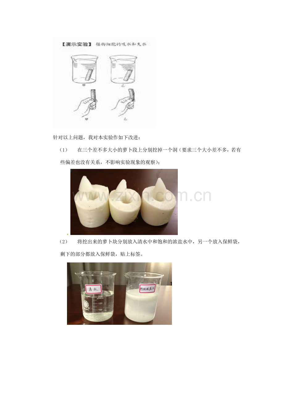 江西省信丰县黄泥中学中考生物实验汇总复习 植物细胞吸水失水实验教学改进教学设计.doc_第2页