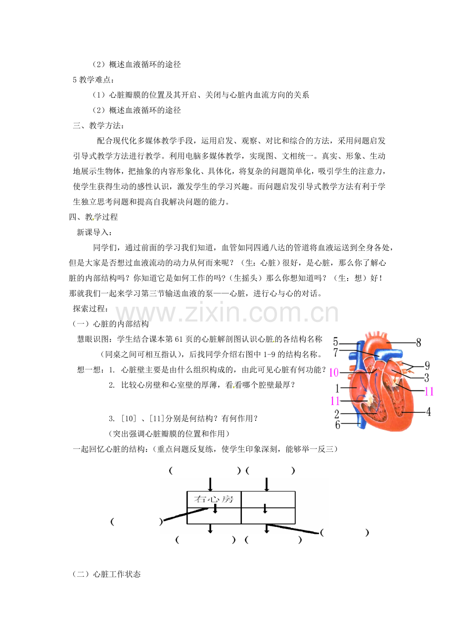 春七年级生物下册 第四单元 第四章 第三节 输送血液的泵 心脏教案 （新版）新人教版-（新版）新人教版初中七年级下册生物教案.doc_第2页