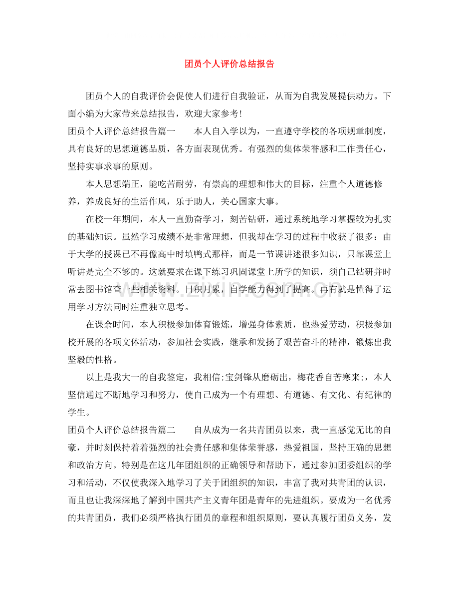 团员个人评价总结报告2).docx_第1页