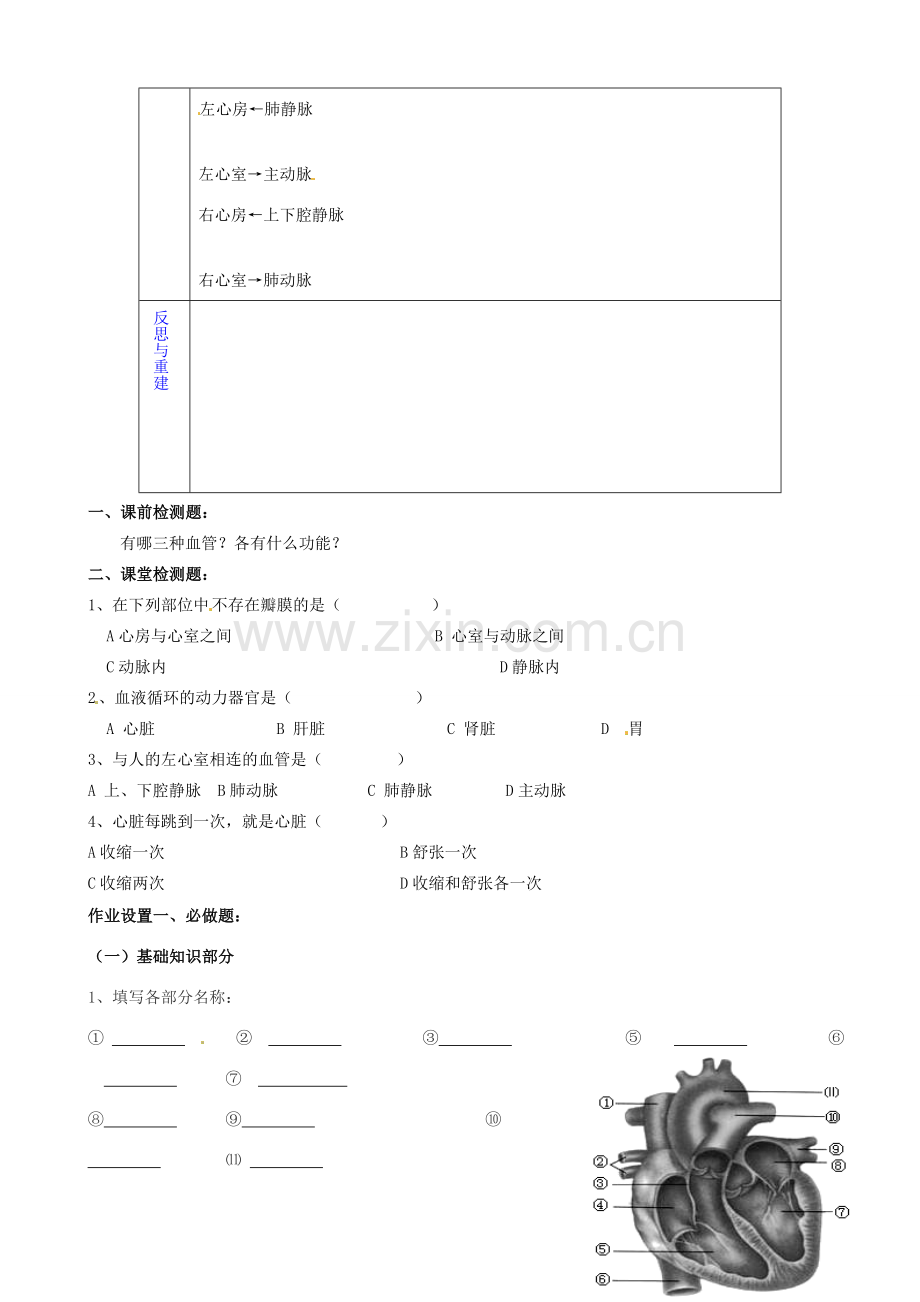 山东省淄博市临淄区第八中学七年级生物下册 物质运输的途径教案1 新人教版.doc_第3页