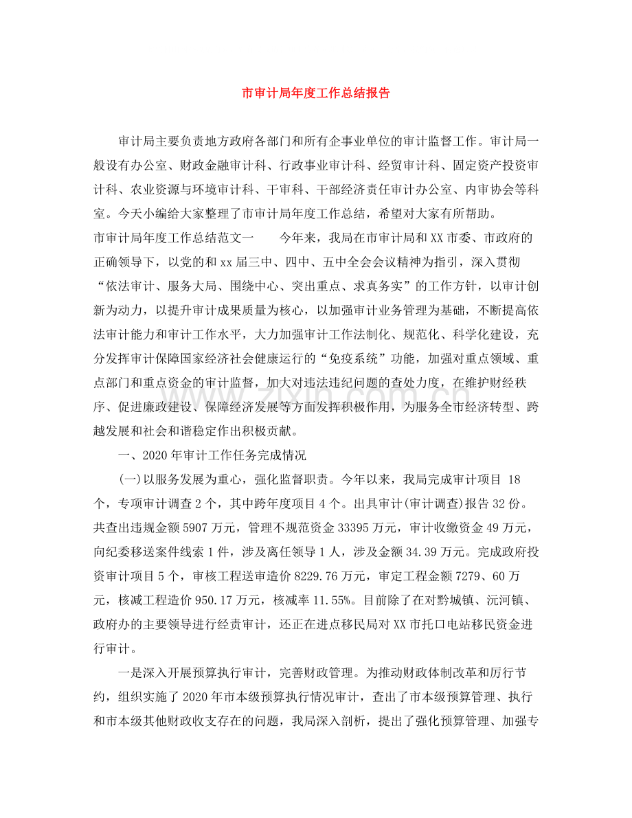 市审计局年度工作总结报告.docx_第1页