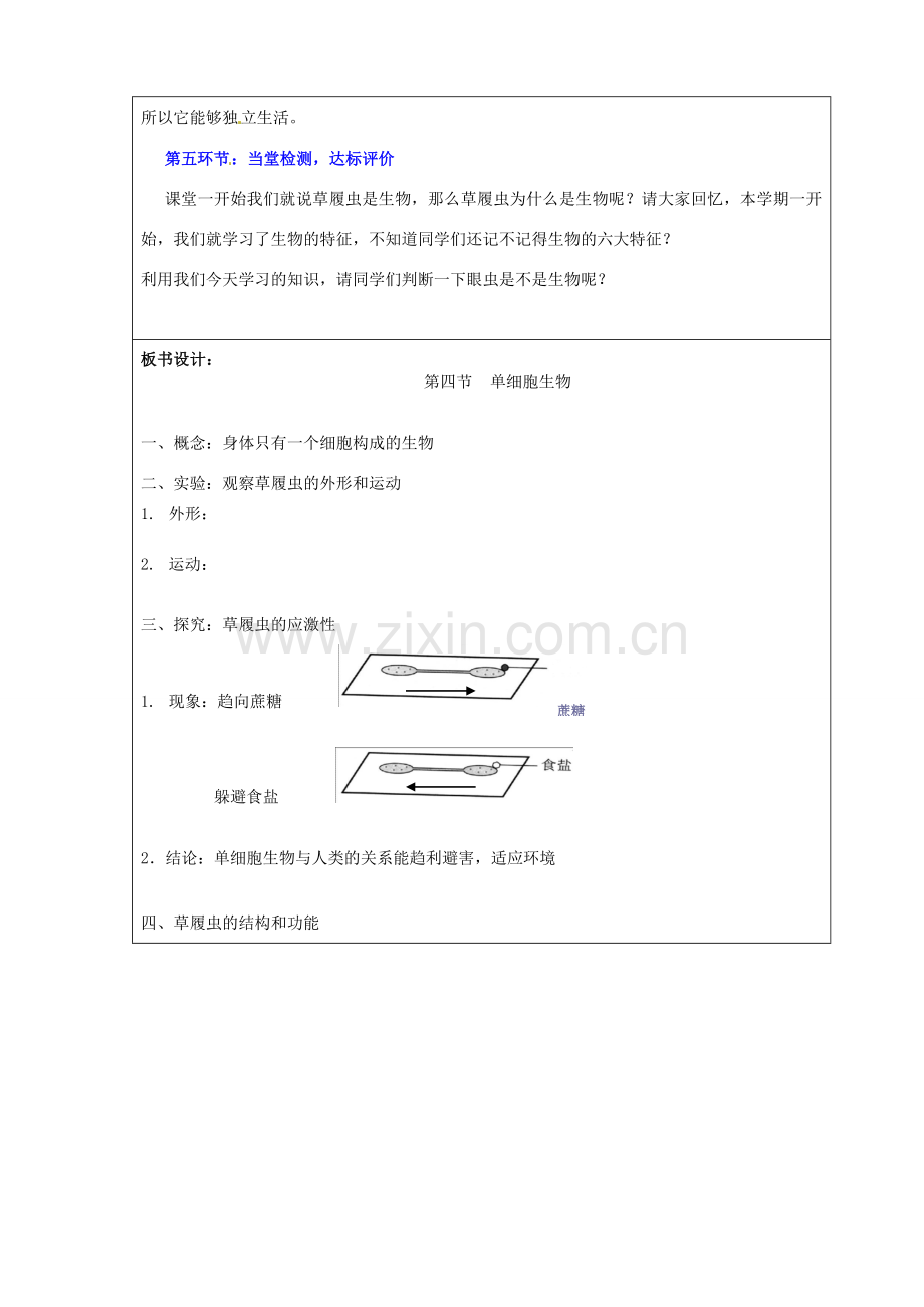 七年级生物上册 2.2.4 单细胞生物教案 新人教版-新人教版初中七年级上册生物教案.doc_第3页