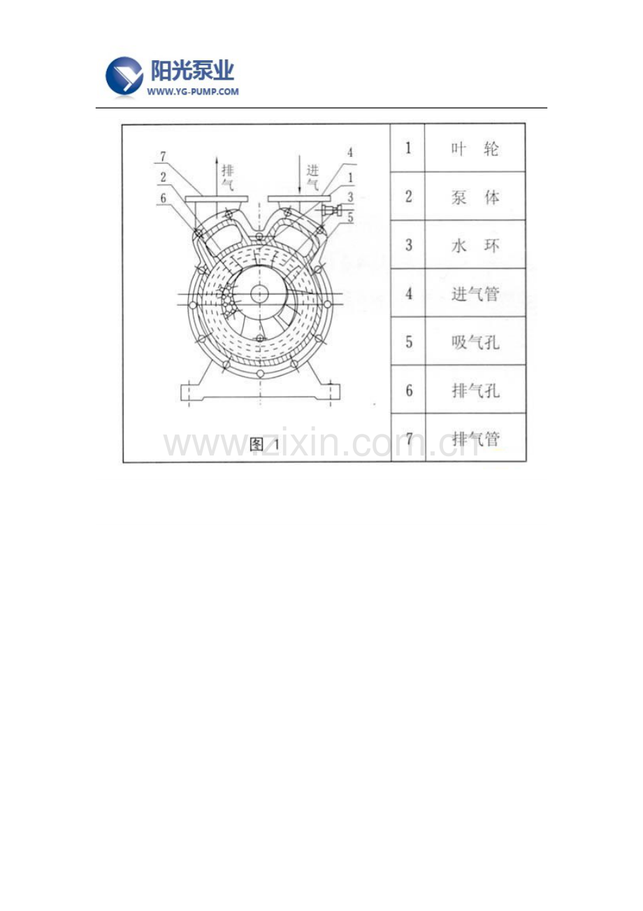 水环真空泵厂家品牌及原理.docx_第2页