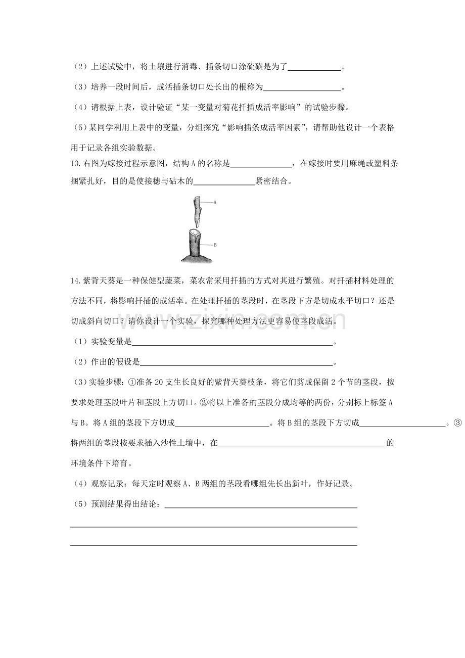 八年级生物上册 19.3 植物的生殖方式同步练习 （新版）北师大版.doc_第3页