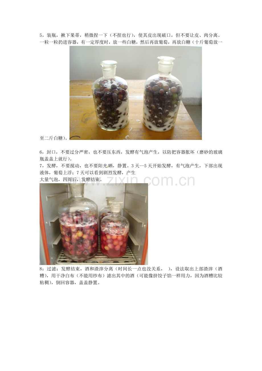 江西省信丰县黄泥中学中考生物实验汇总复习 食用葡萄酿酒教学设计.doc_第2页