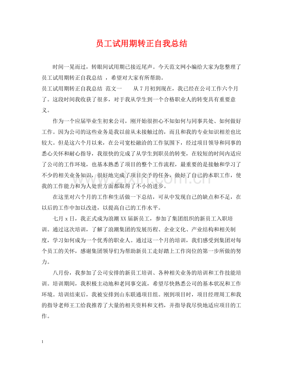 员工试用期转正自我总结2.docx_第1页