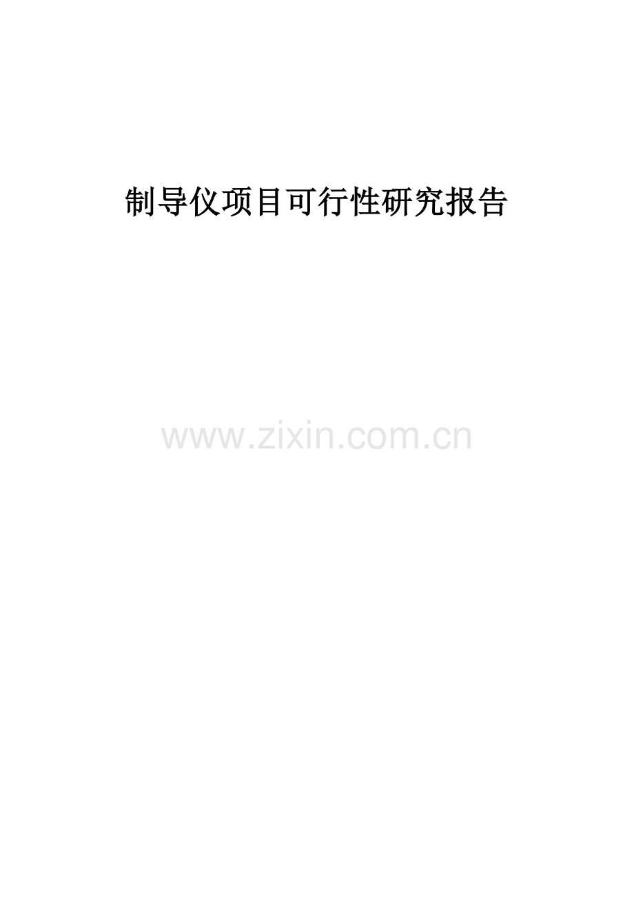 制导仪项目可行性研究报告.docx_第1页