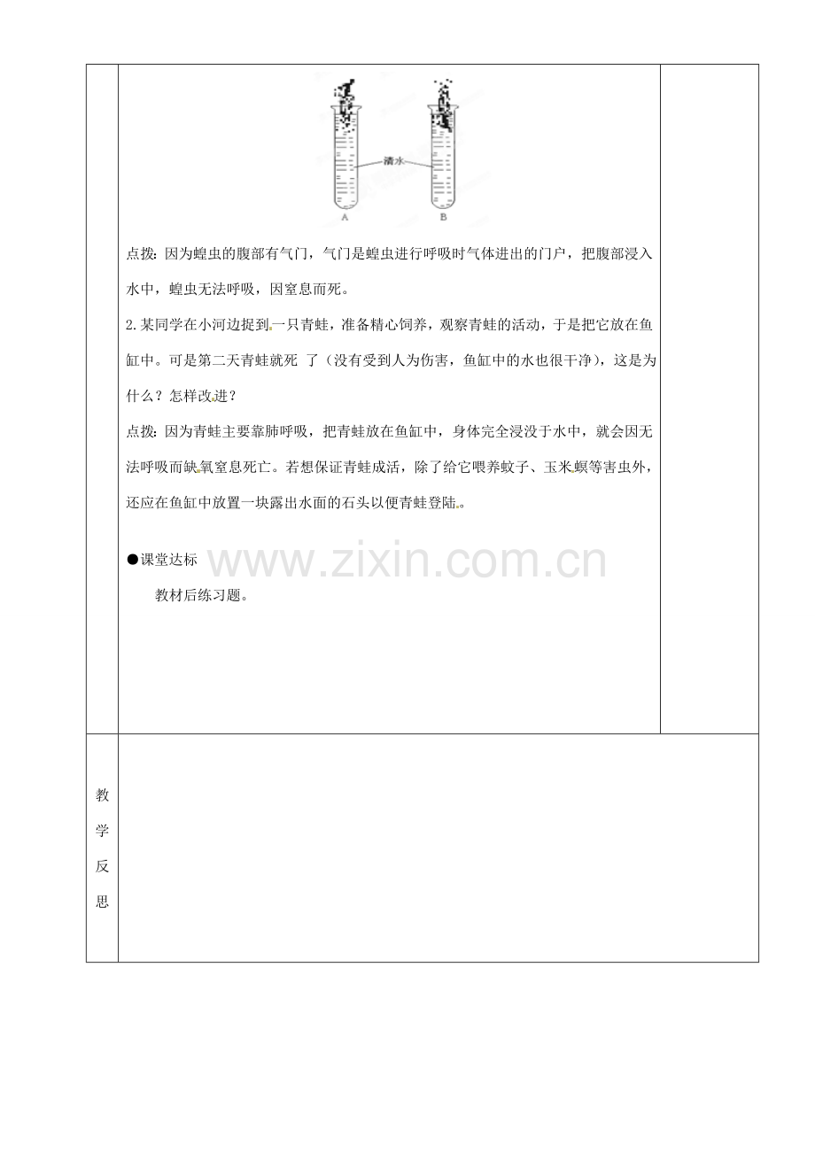 湖南省茶陵县世纪星实验学校八年级生物上册《1.3空中飞行的动物》教案二 人教新课标版.doc_第3页