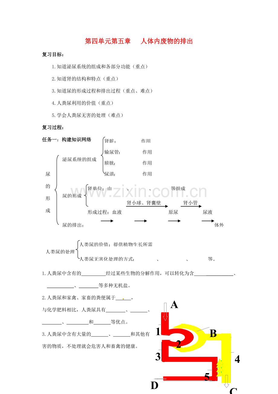 七年级生物下册 5.1《人体内废物的排出》教案 新人教版.doc_第1页