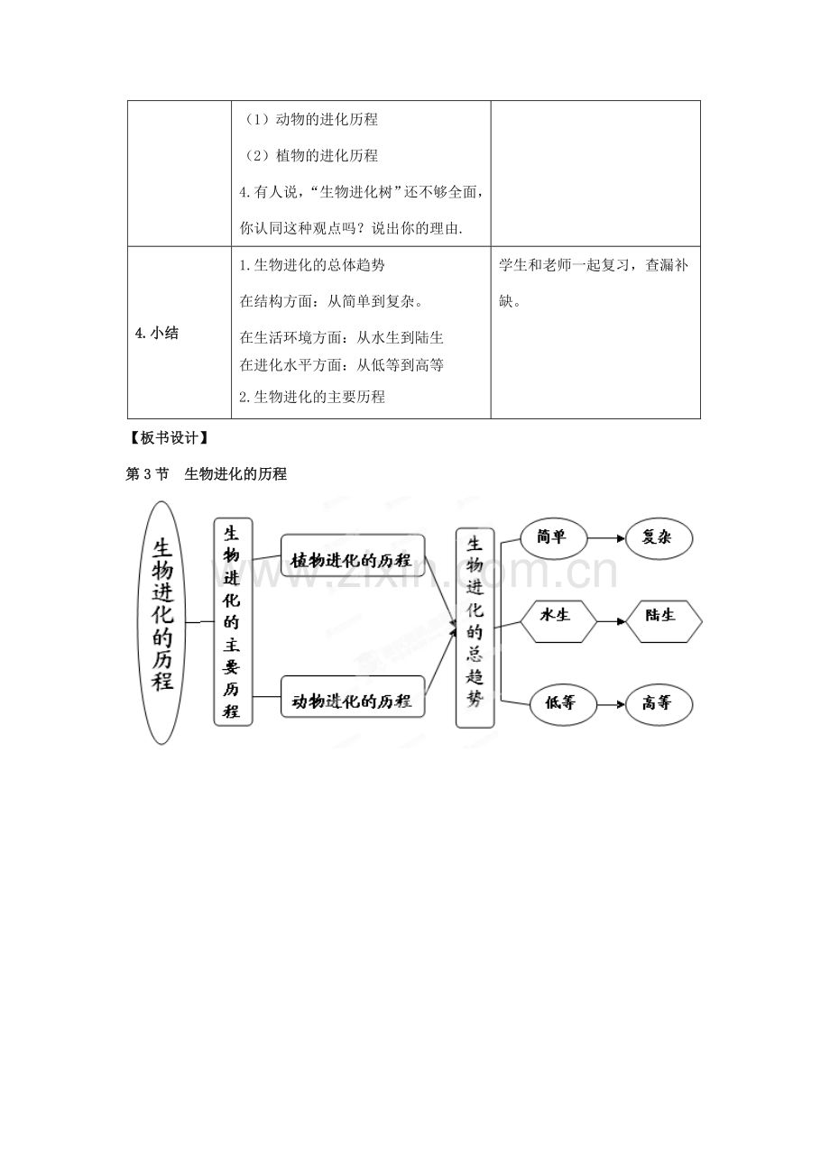 八年级生物下册 5.1.3 生物进化的历程教案1 （新版）济南版.doc_第3页