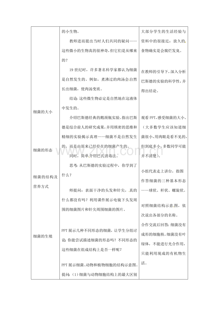 八年级生物上册 第五单元 第四章 第二节《细菌》教案 （新版）新人教版-（新版）新人教版初中八年级上册生物教案.doc_第2页