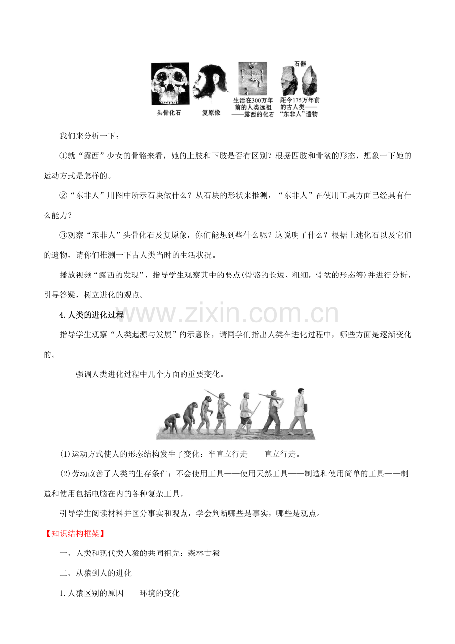 版七年级生物下册 第四单元 生物圈中的人 第一章 人的由来 4.1.1 人类的起源和发展教案 新人教版-新人教版初中七年级下册生物教案.doc_第3页