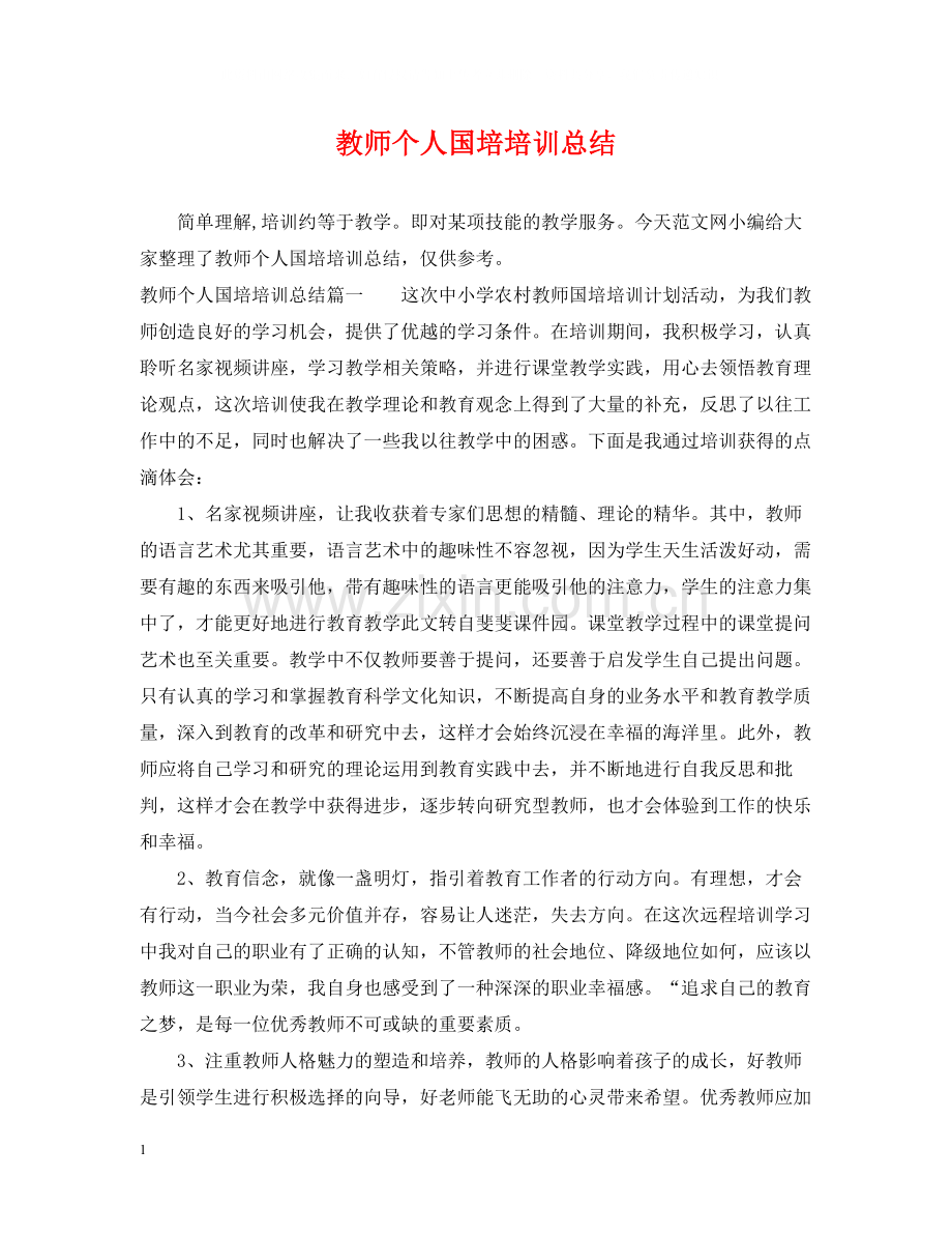 教师个人国培培训总结.docx_第1页