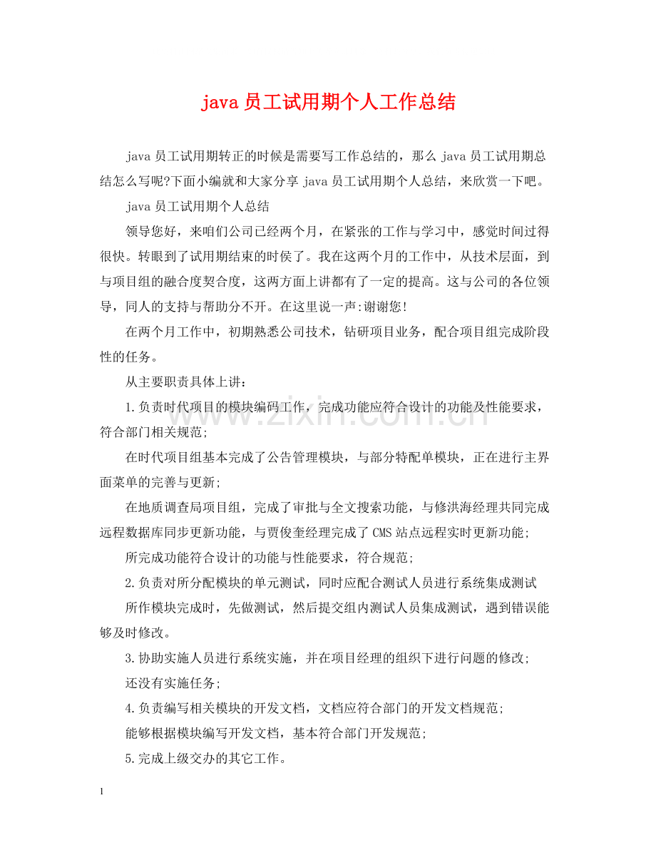 java员工试用期个人工作总结.docx_第1页