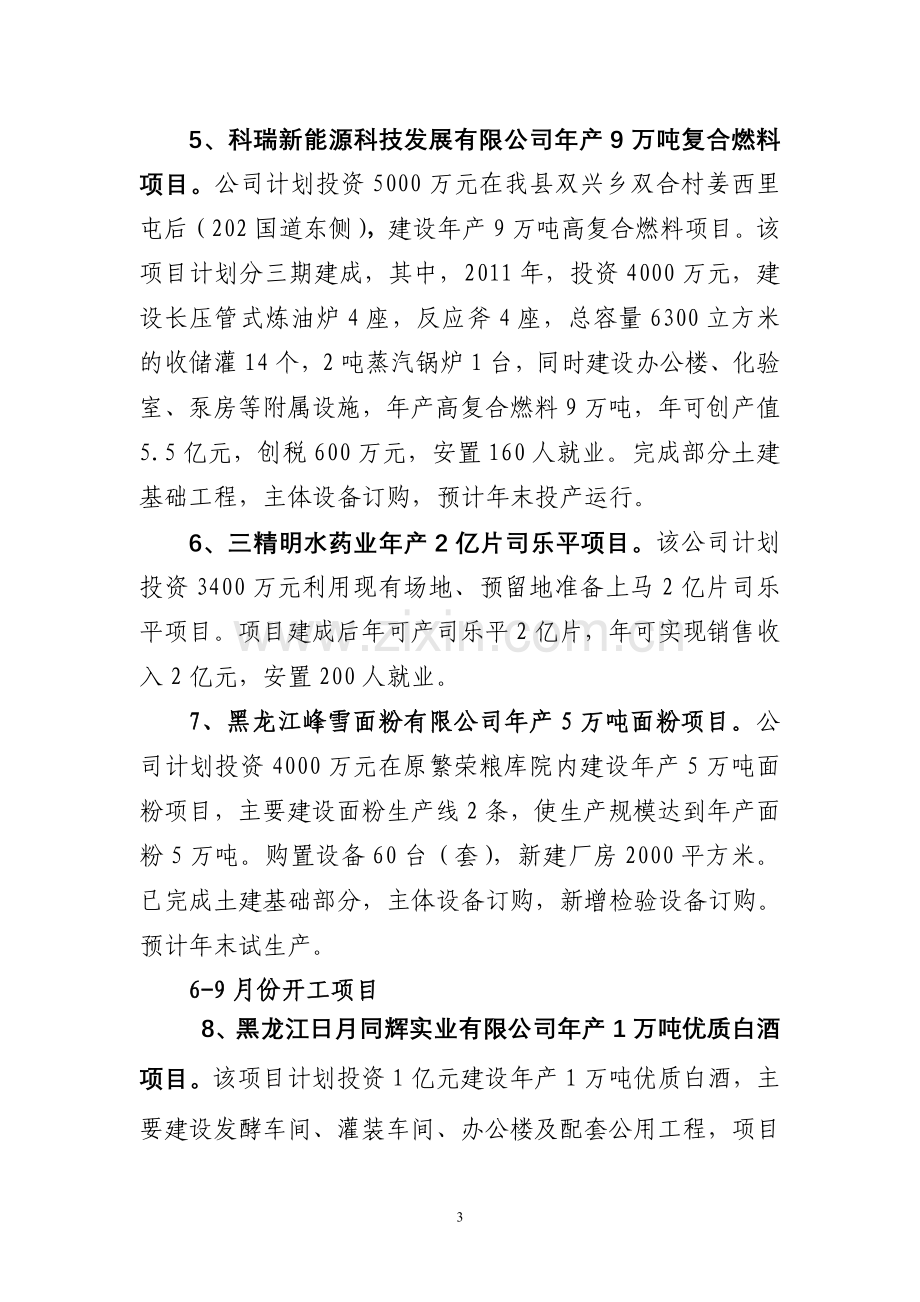 项目工作汇报材料.doc_第3页