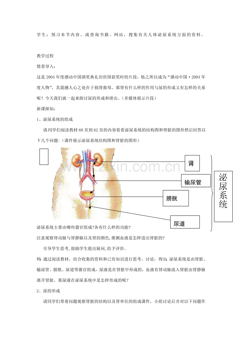 山东省枣庄市峄城区吴林街道中学七年级生物下册 第四章 第一节 尿的形成和排出（第一课时）教案 济南版.doc_第3页