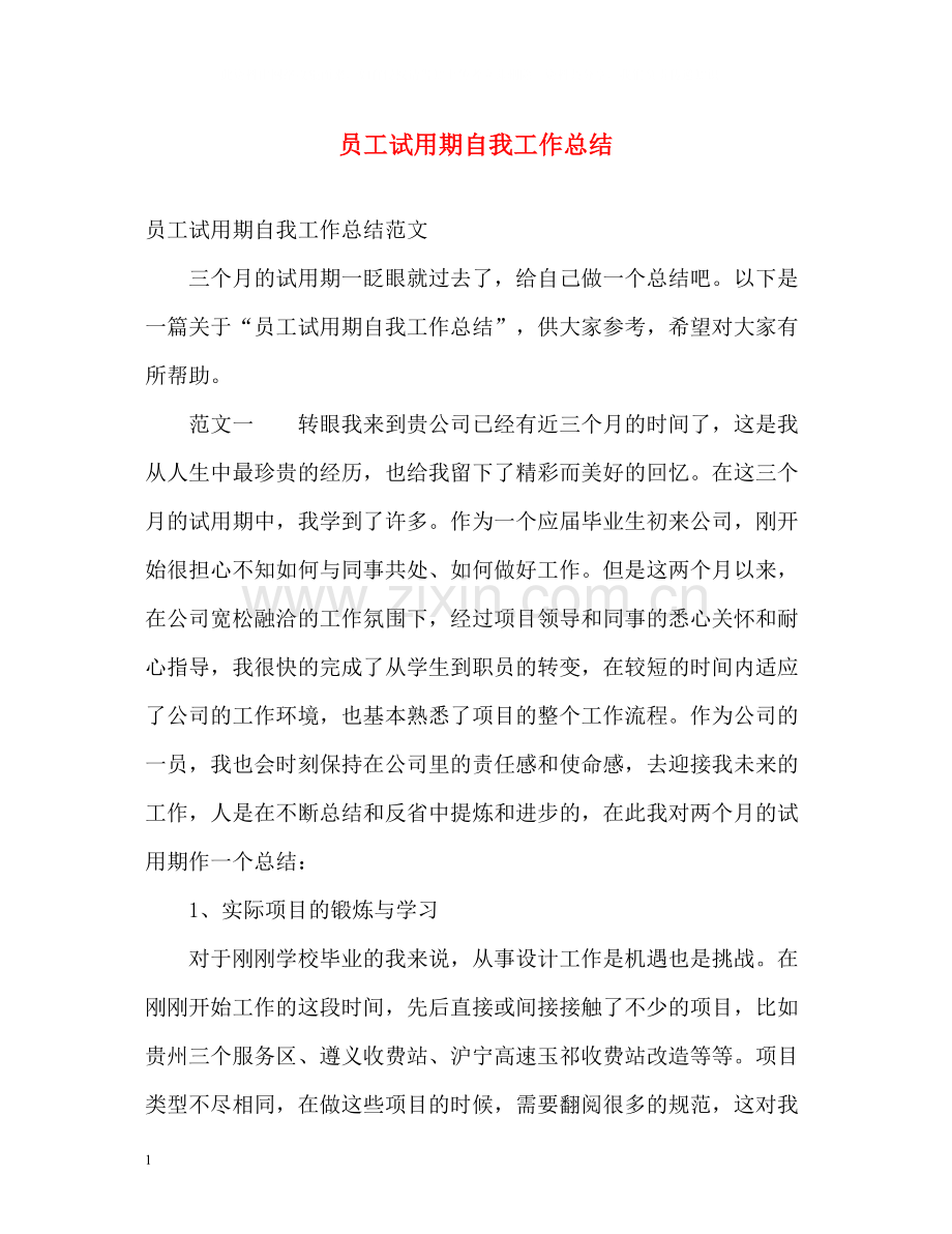 员工试用期自我工作总结.docx_第1页