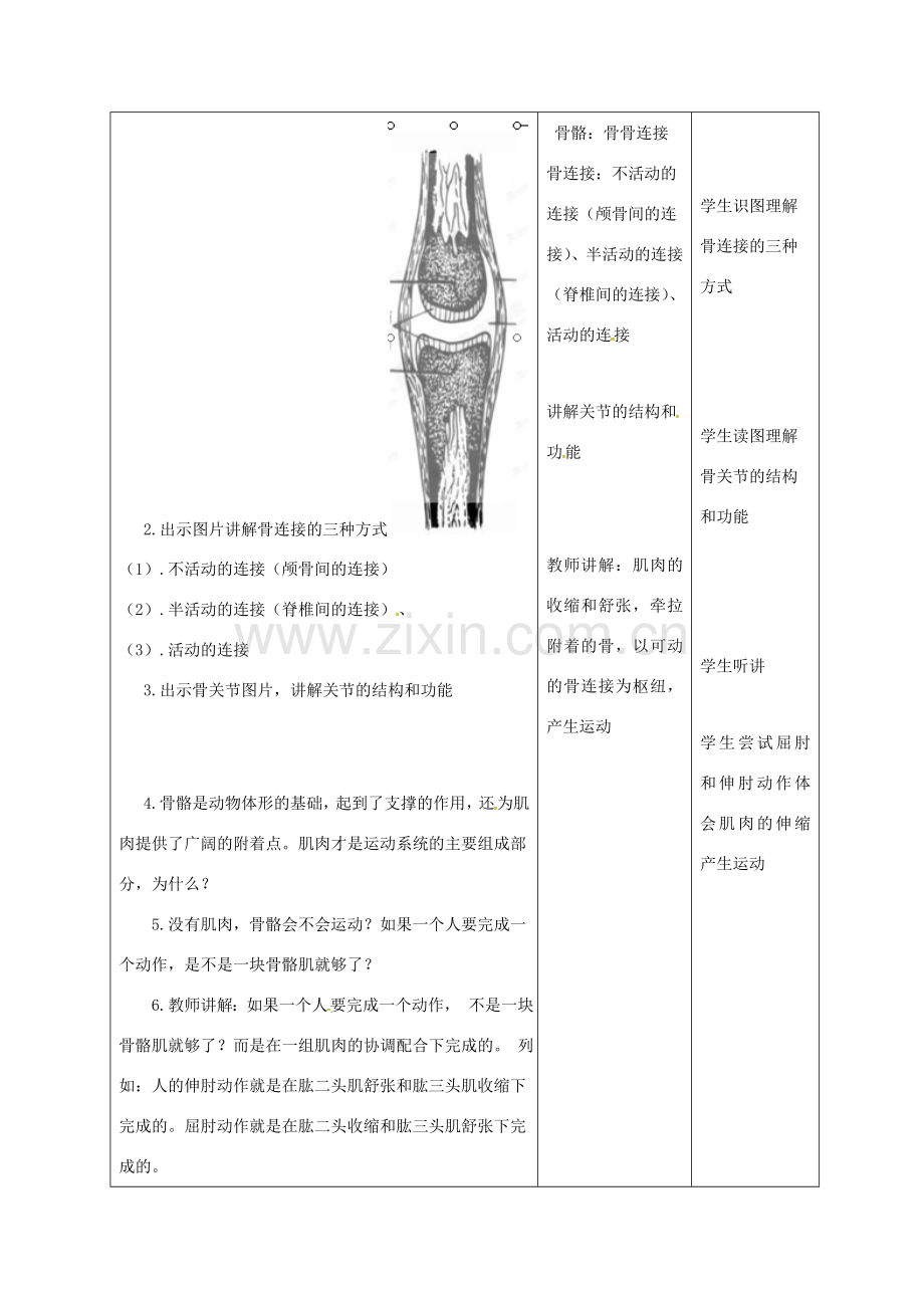 八年级生物上册 17.2 动物的运动依赖一定的结构（第2课时）教案 （新版）苏教版-（新版）苏教版初中八年级上册生物教案.doc_第3页