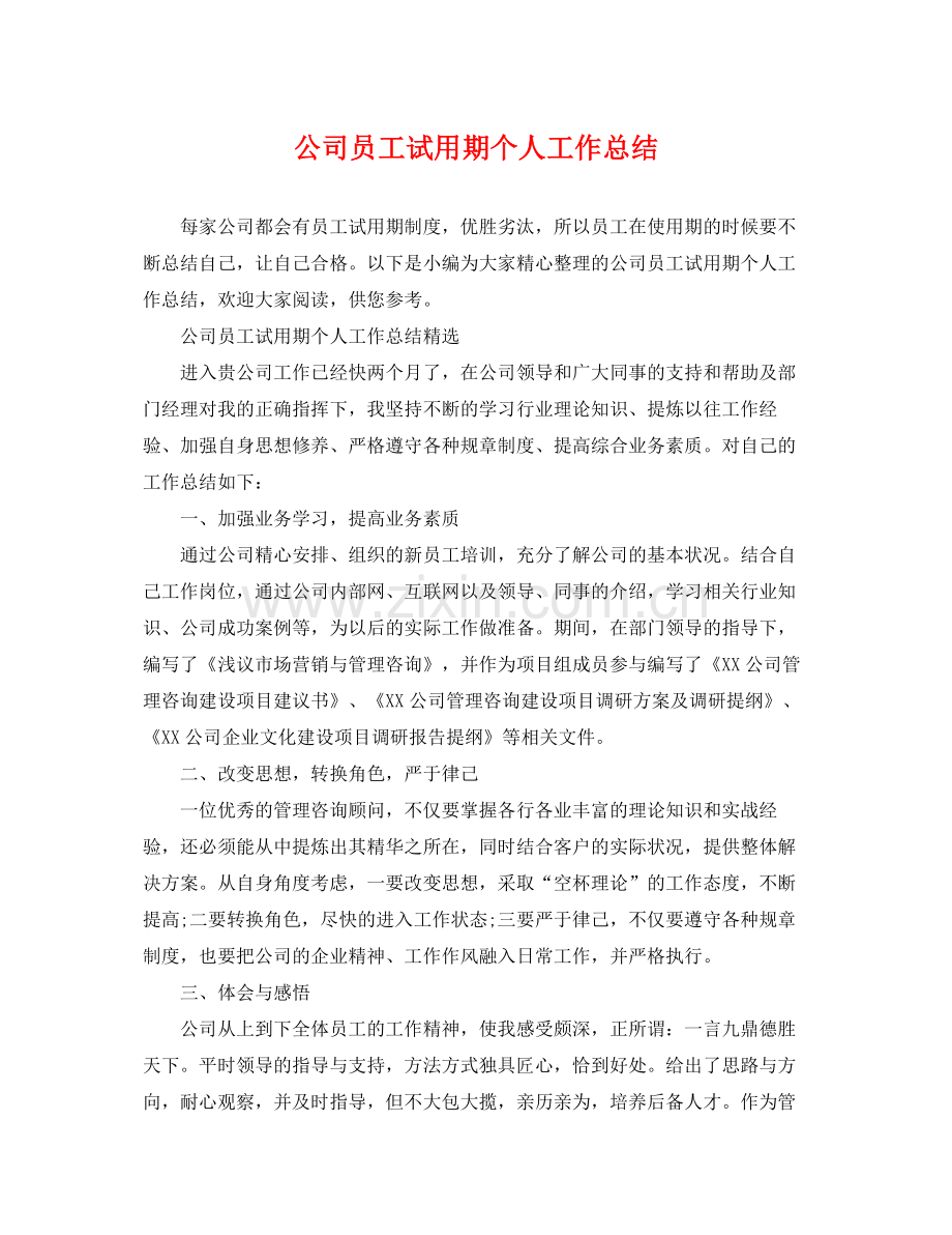 公司员工试用期个人工作总结 .docx_第1页